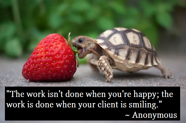 tortoise-strawberry-happy-customers-quote-reduce-cost-per-lead