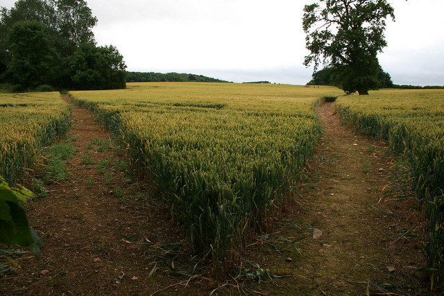 segment-leads-exclude-audiences-grassy-paths-mud-spring